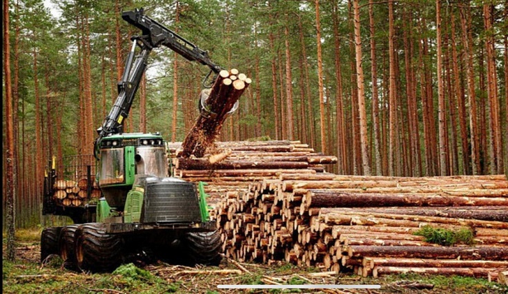 Экспертный анализ конъюнктуры мирового и отечественного рынка лесной промышленности и корректировка Стратегии развития ЛК РФ до 2030 года